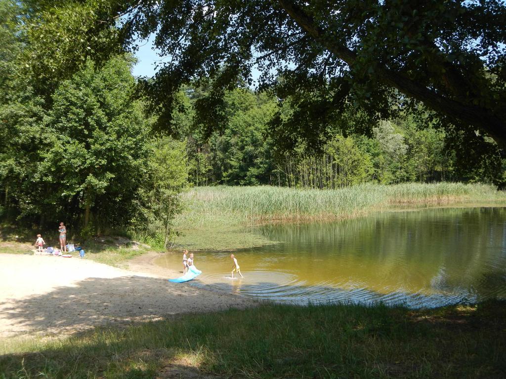 Vila Agroturystyka U Ostrowskich Chartow Exteriér fotografie