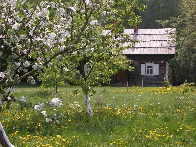 Vila Agroturystyka U Ostrowskich Chartow Exteriér fotografie