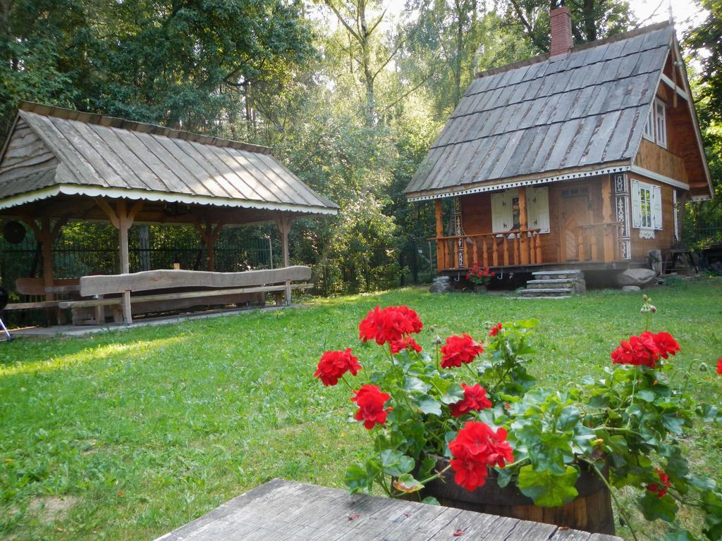 Vila Agroturystyka U Ostrowskich Chartow Exteriér fotografie