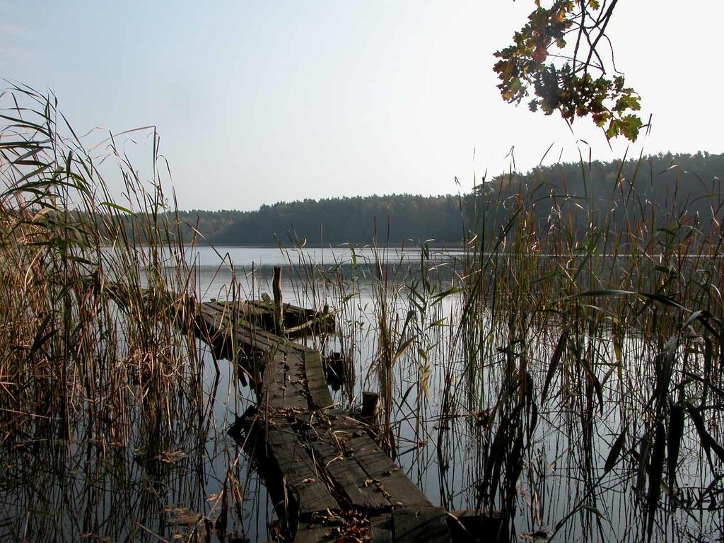 Vila Agroturystyka U Ostrowskich Chartow Exteriér fotografie