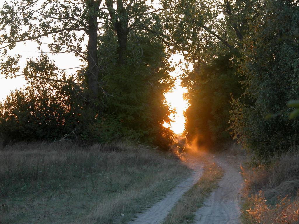 Vila Agroturystyka U Ostrowskich Chartow Exteriér fotografie