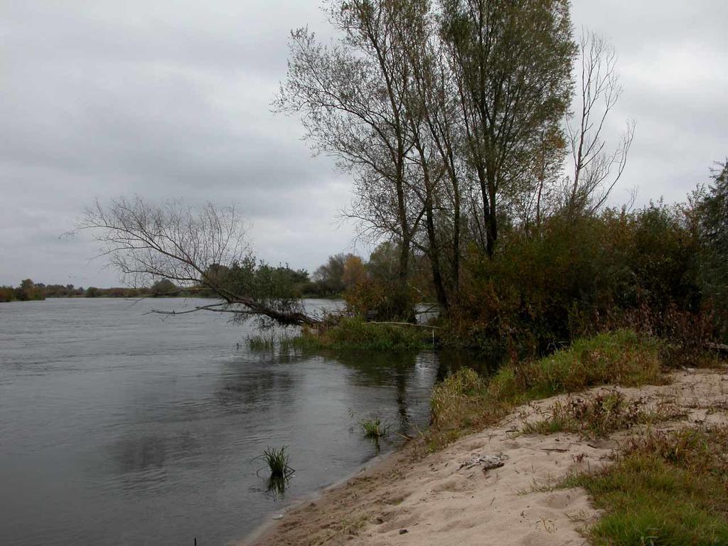 Vila Agroturystyka U Ostrowskich Chartow Exteriér fotografie