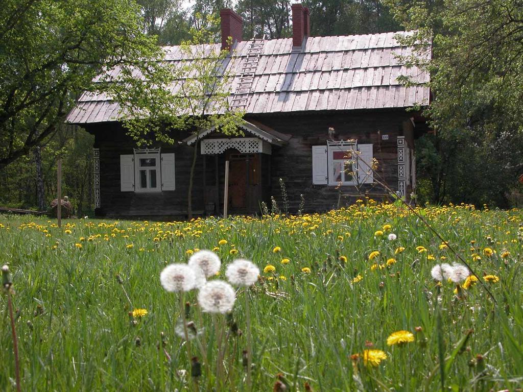 Vila Agroturystyka U Ostrowskich Chartow Exteriér fotografie