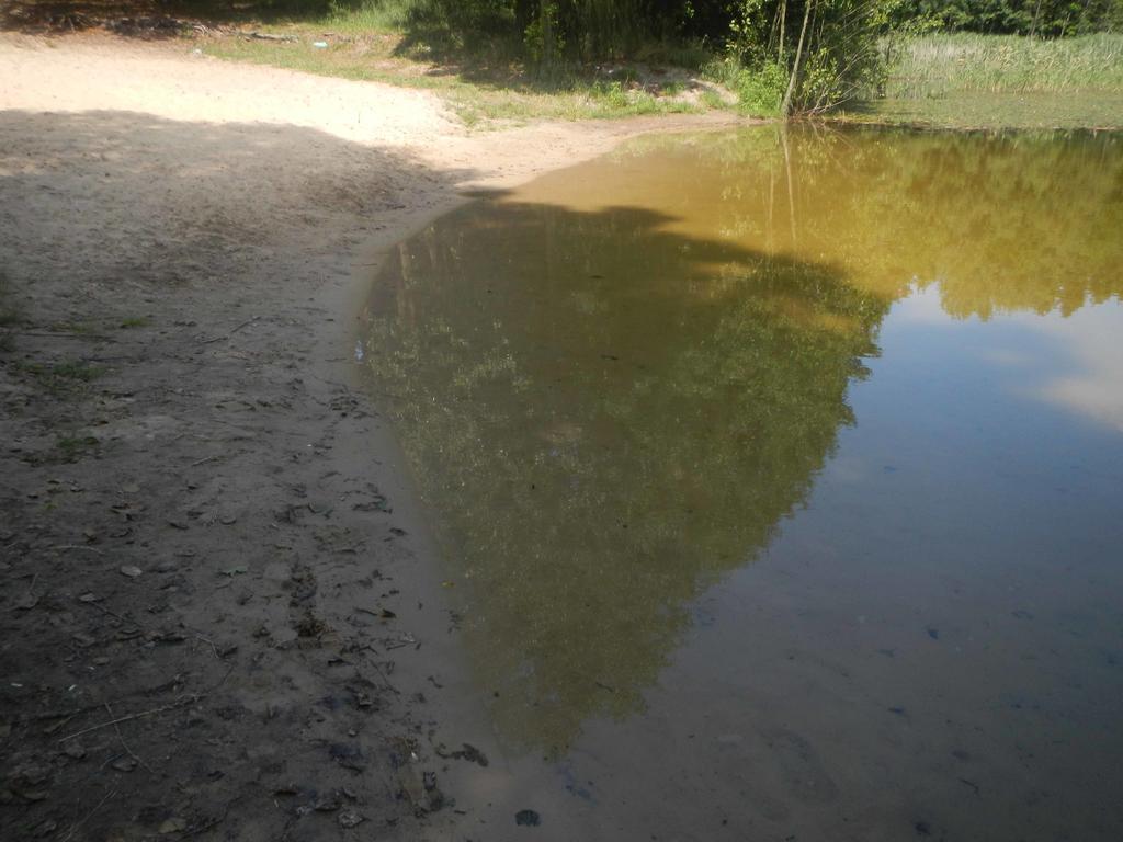 Vila Agroturystyka U Ostrowskich Chartow Exteriér fotografie